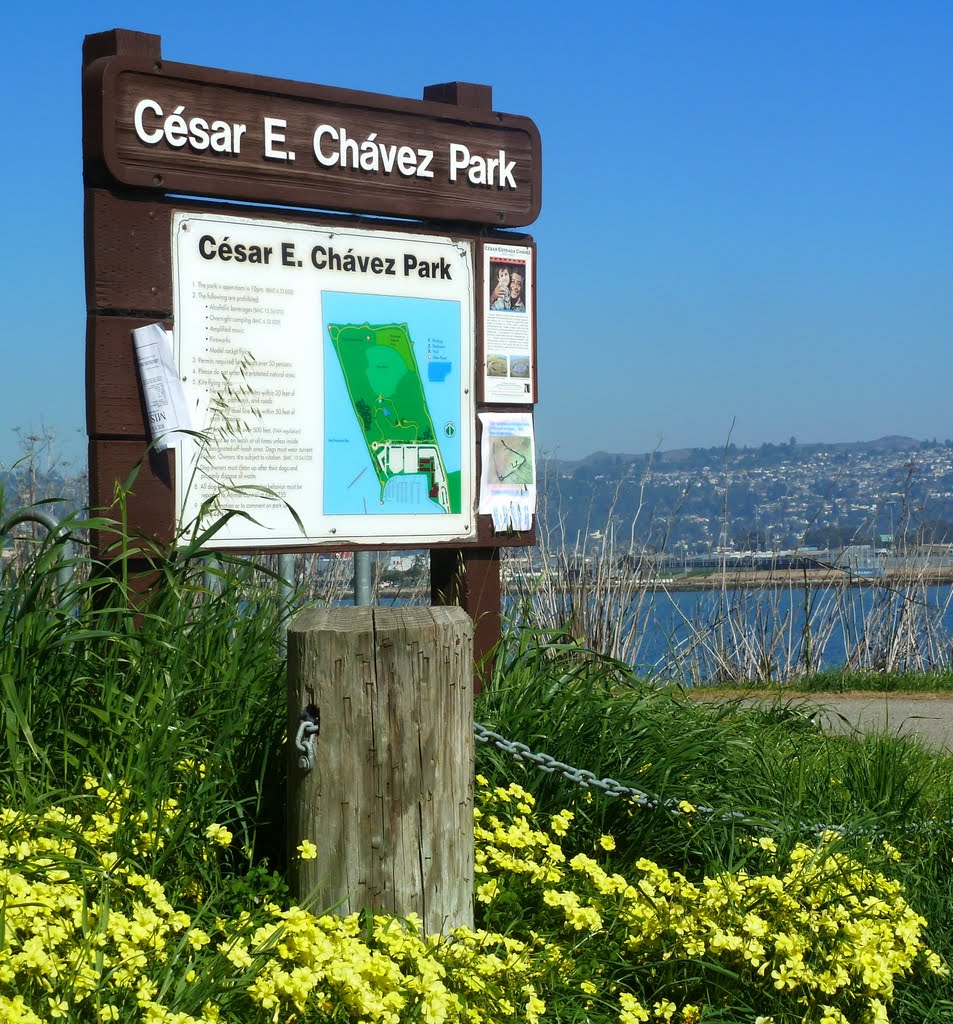 Cesar Chavez Park was formerly the Berkeley city dump, Олбани