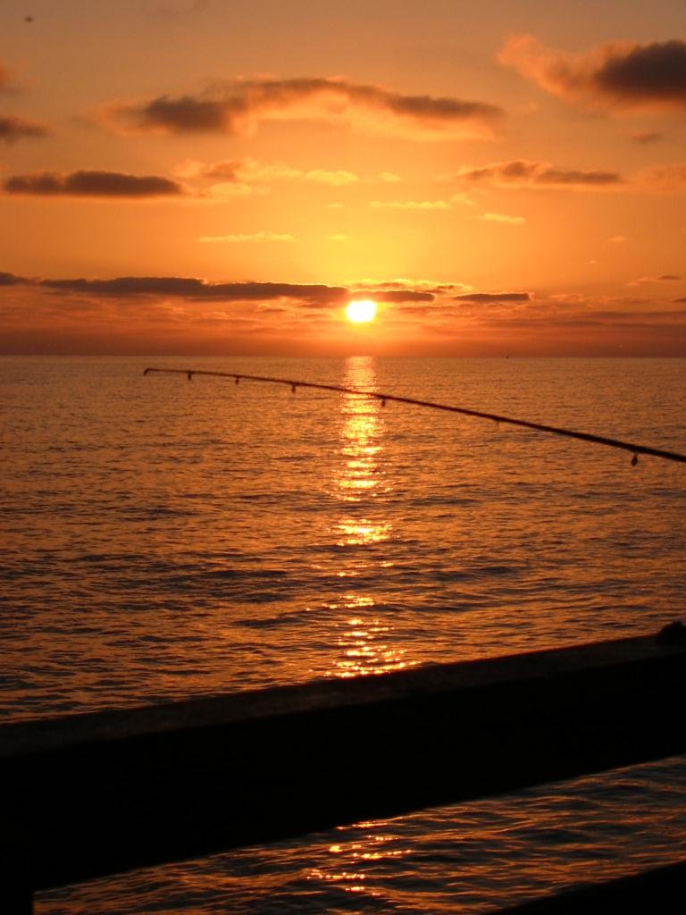 A Silhouetted Fishing Pole on Rubys Pier at Sunset in Oceanside, CA, Оушнсайд