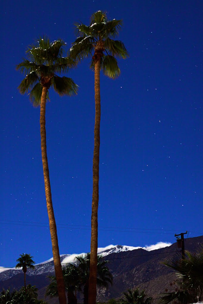 Palms Spring, Палм-Спрингс