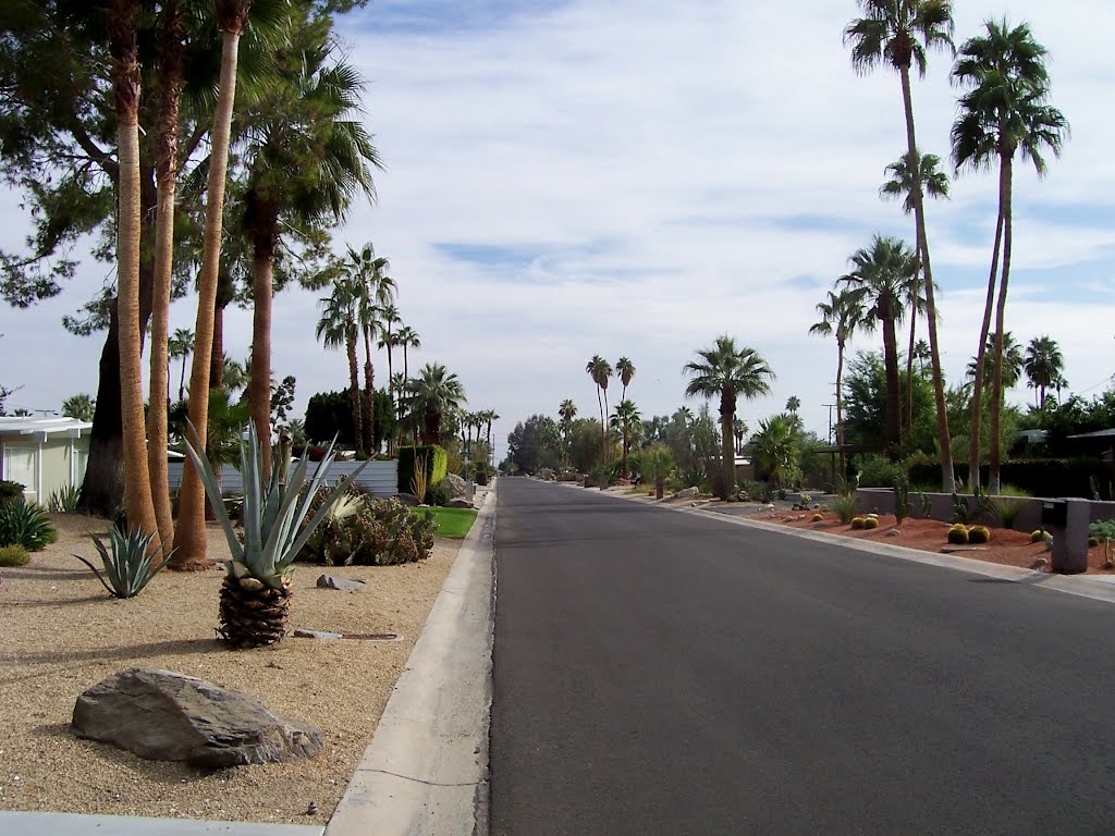 PALM SPRINGS - living in the desert, Палм-Спрингс