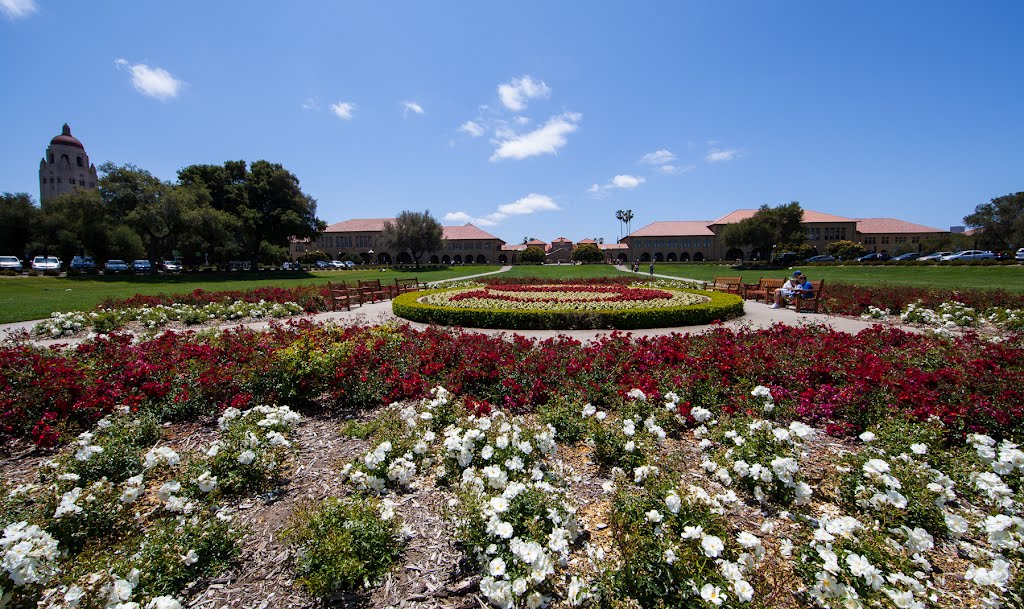 Stanford University, California, Пало-Альто
