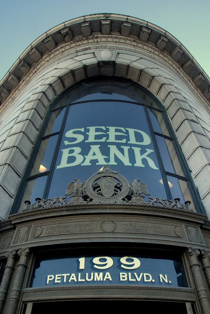 Seed Bank, Petaluma, California, Петалума