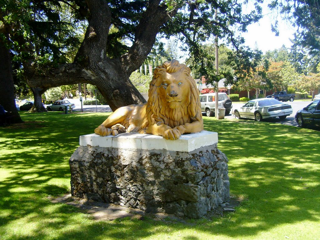 Mighty Lion, Редвуд-Сити
