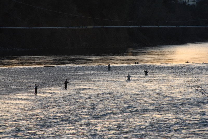 Sacramento River Fishing, Реддинг