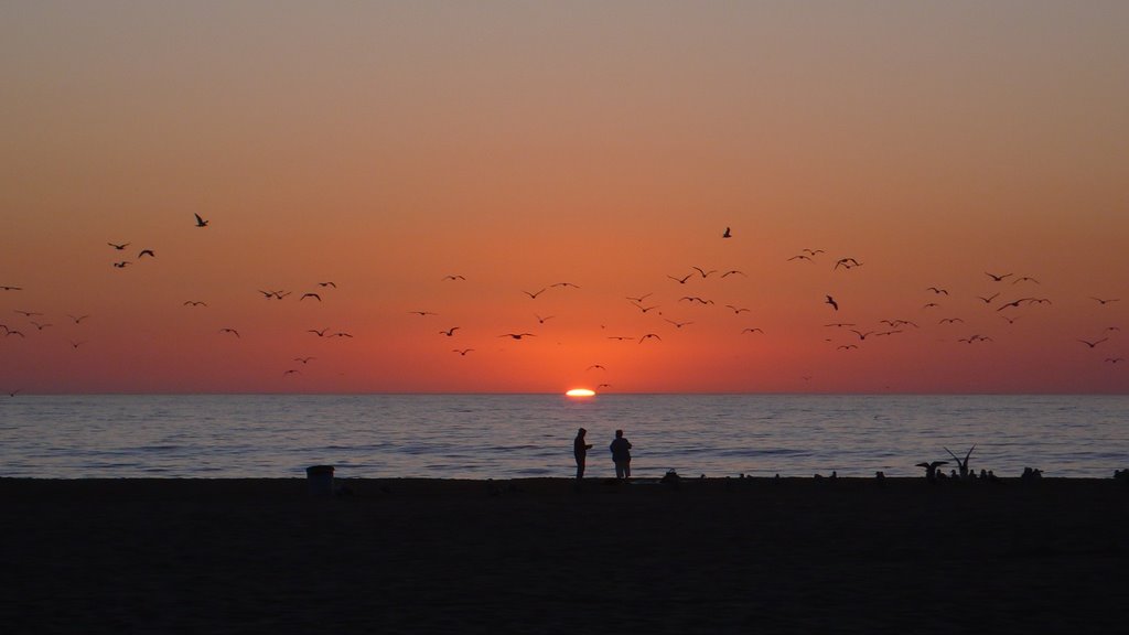 Sunset fishing, Редондо-Бич