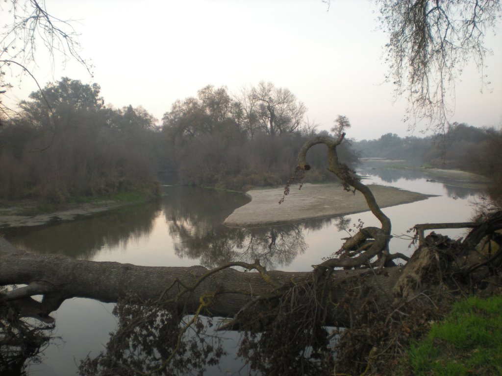 Kings River Trail (Jan 08, Behind College), Ридли