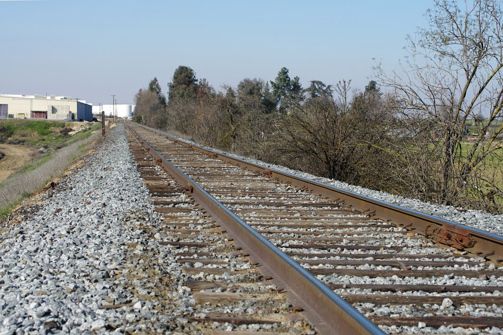 San Joaquin Valley Railroad Co tracks leading out of Reedley, just west of the Kings River, 1/2013, Ридли
