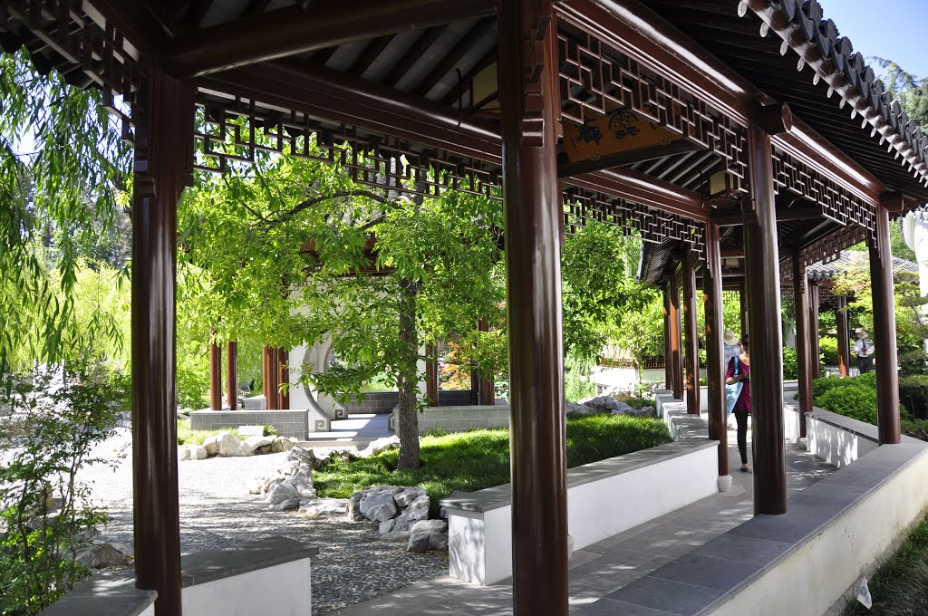 China Garden in the Huntington Libary, Pasadena, CA USA, Сан-Марино
