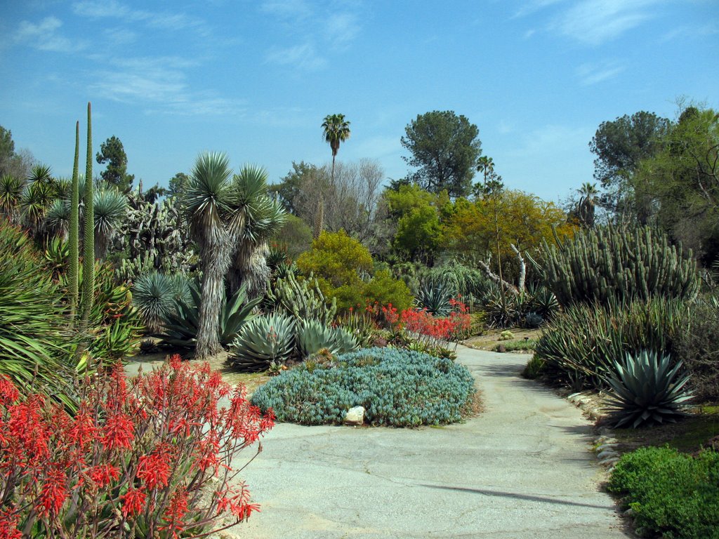 Huntington Gardens- Desert Garden #1, Сан-Марино