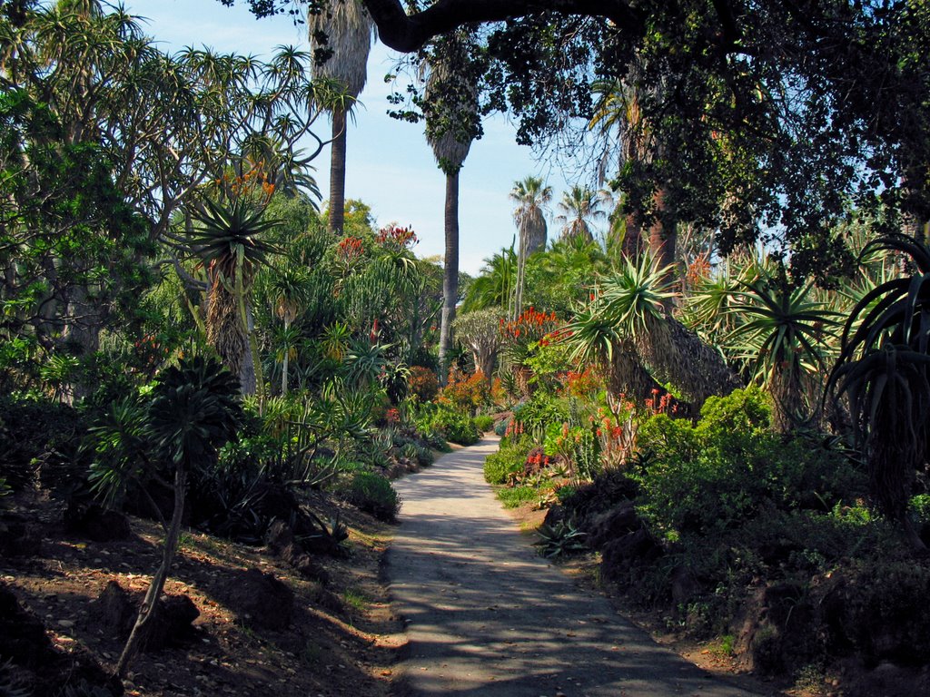 Huntington Gardens- Desert Section 2, Сан-Марино