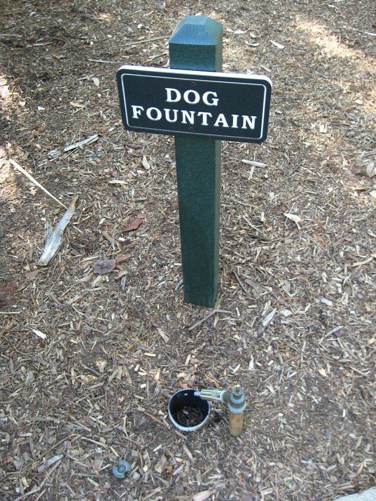 Dog fountain at Lacy Park, Сан-Марино