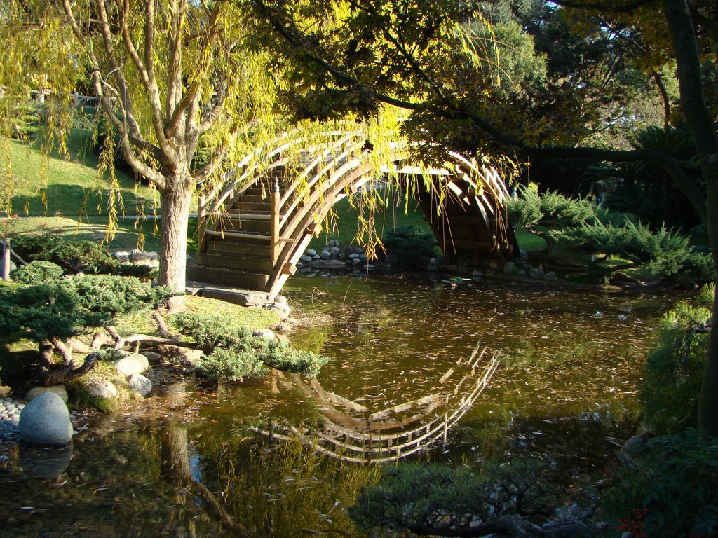 Japanese garden in Huntinton Library, Сан-Марино
