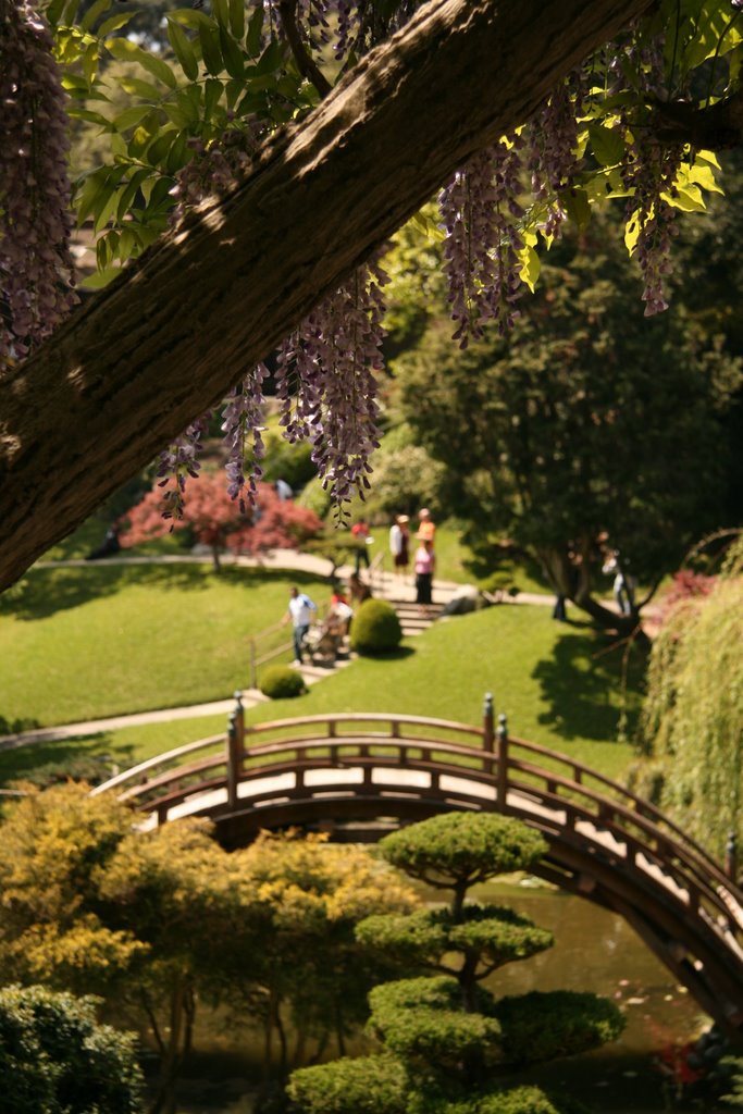 Huntington Gardens--Japanese Garden, Сан-Марино