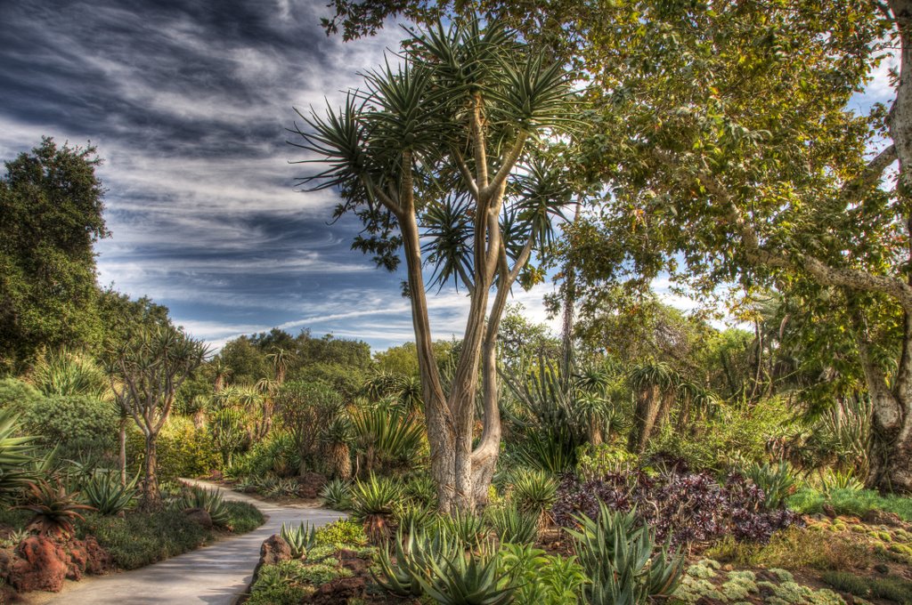 Desert Garden, Huntington Botanical Garden San Marino California, Сан-Марино