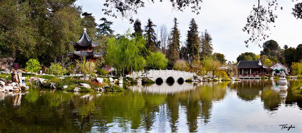 Chinese Garden @ the Huntington Library, San Marino, CA, Сан-Марино