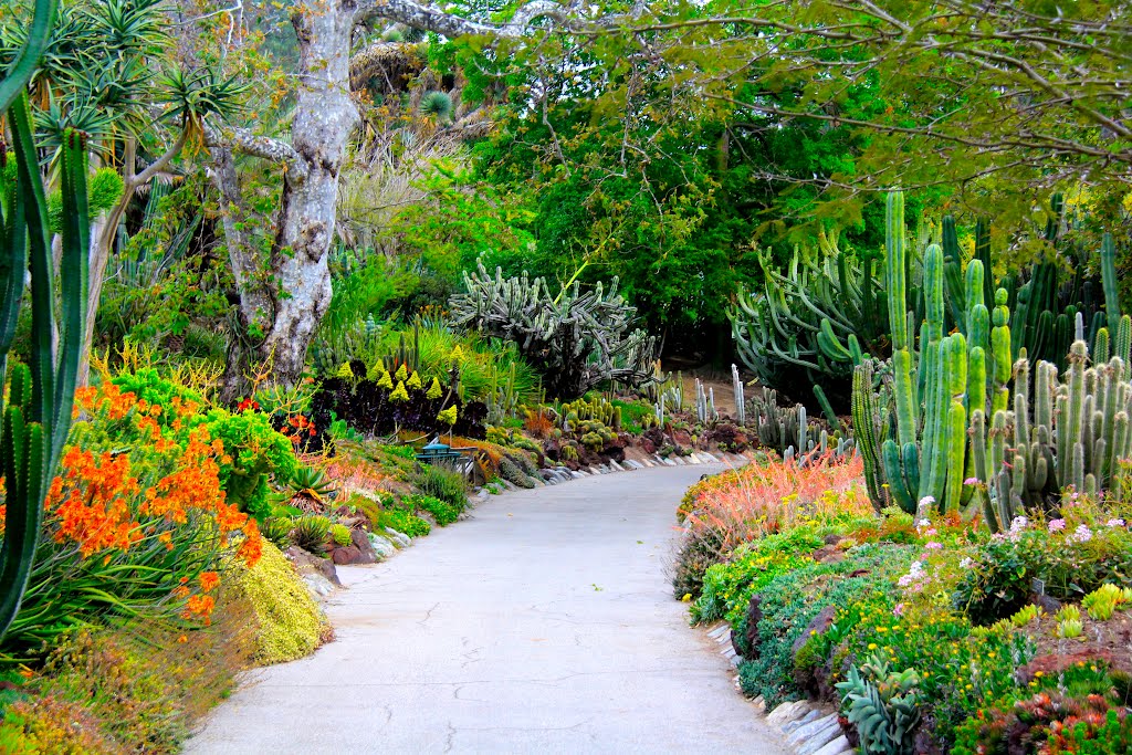 The Huntington Gardens, San Marino, CA, Сан-Марино