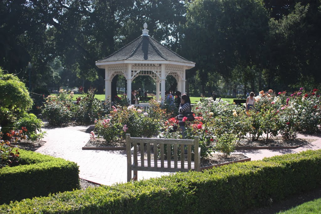 Central Park Rose Garden, Сан-Матео