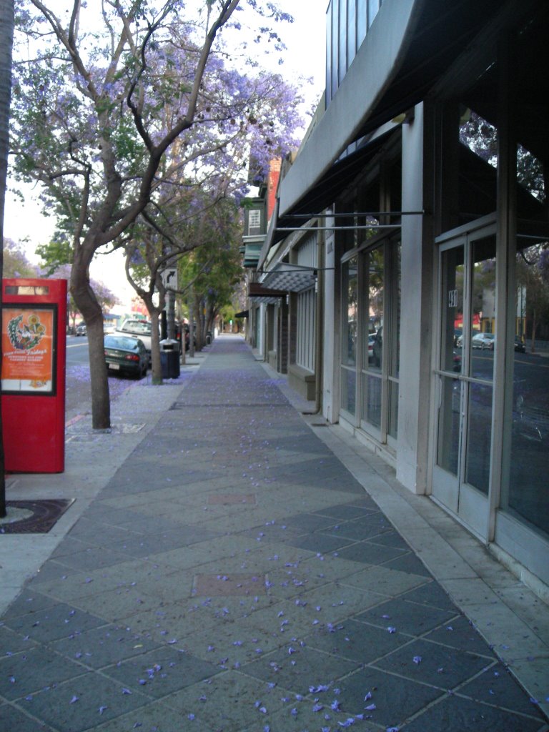 San Jose sidewalks, Сан-Хосе
