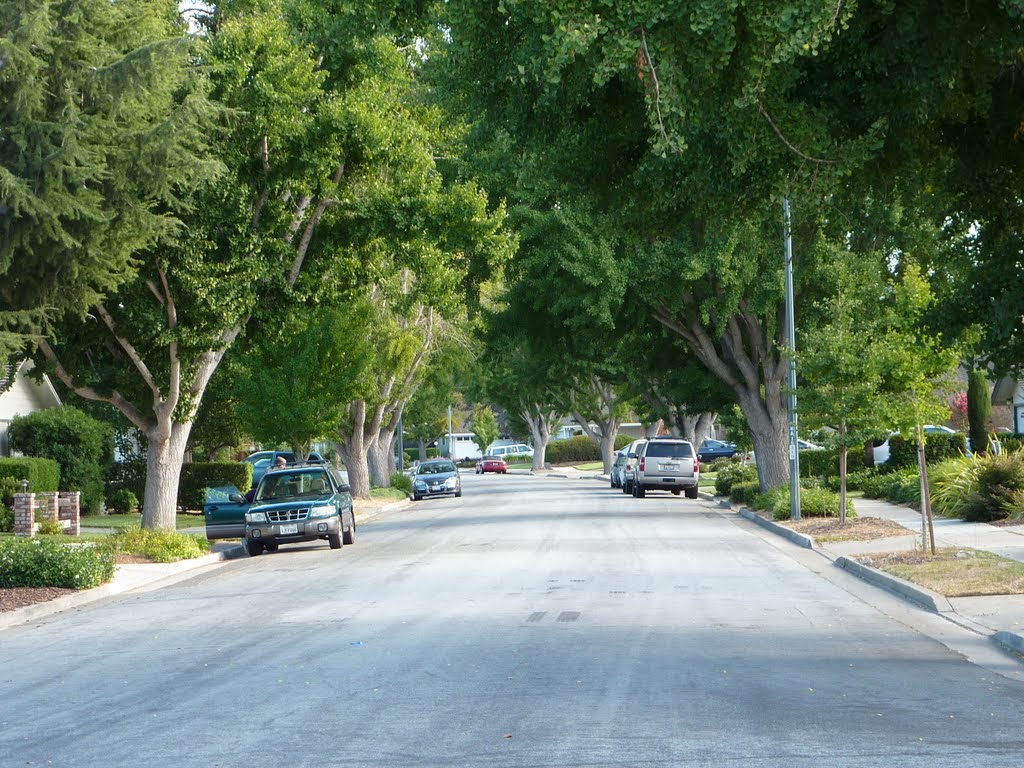 Kelsey Dr. lined with beautiful trees, Саннивейл