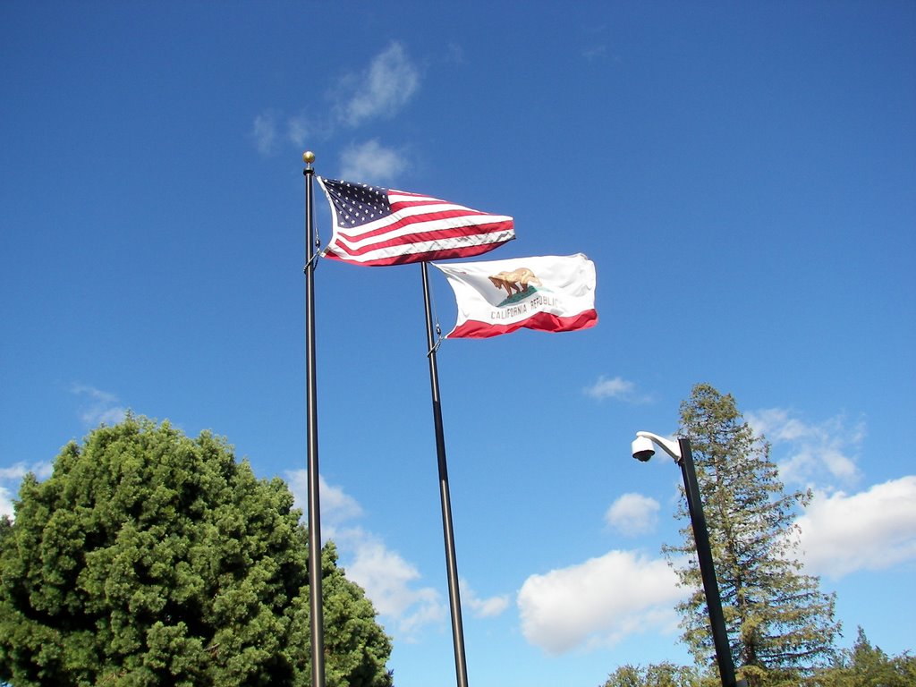 US & california flags, Саннивейл