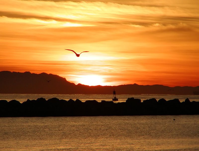 Santa Barbara Sunrise, Санта-Барбара