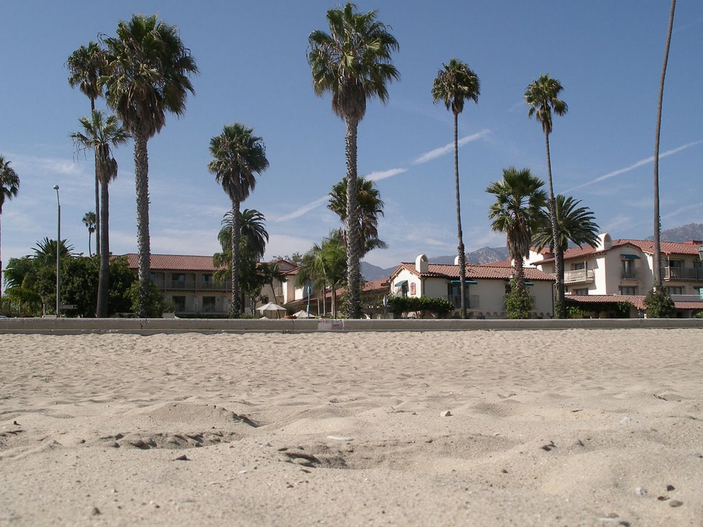 Palm trees and beach - Santa Barbara, Санта-Барбара