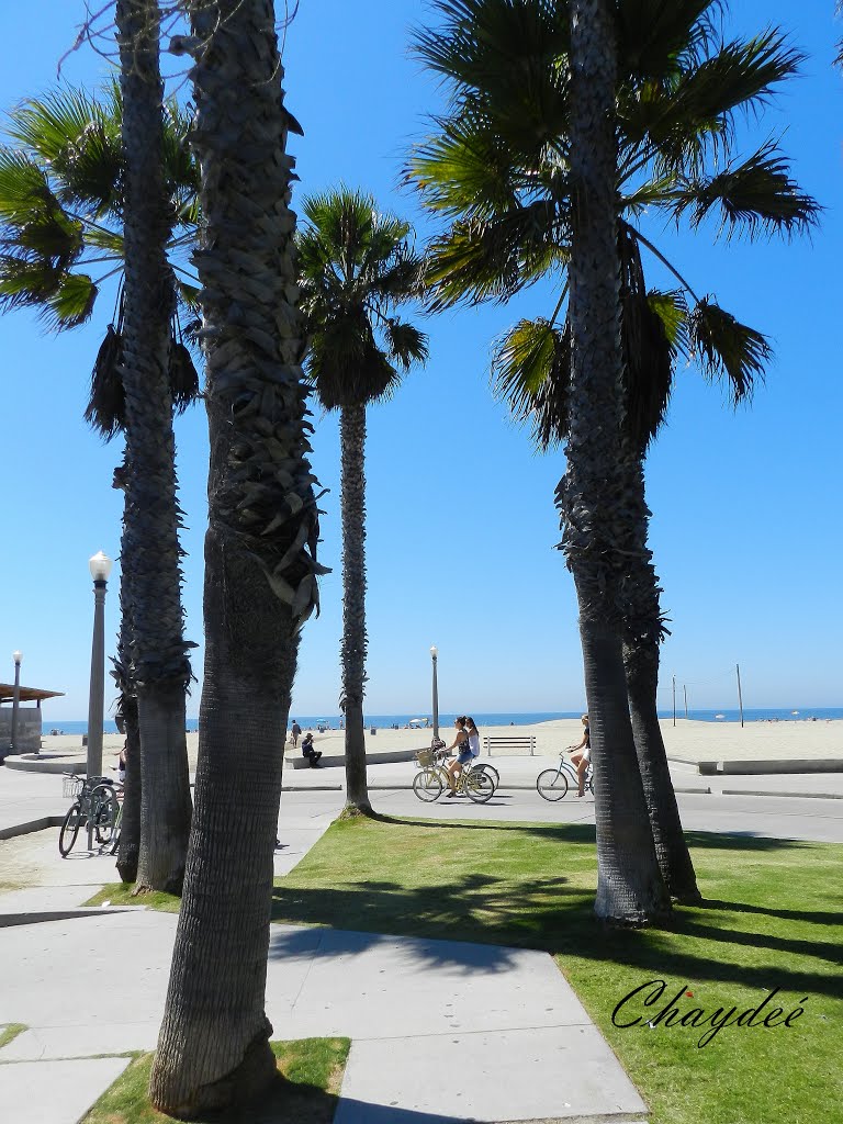 "Buen día para un paseo en bici" *, Санта-Моника
