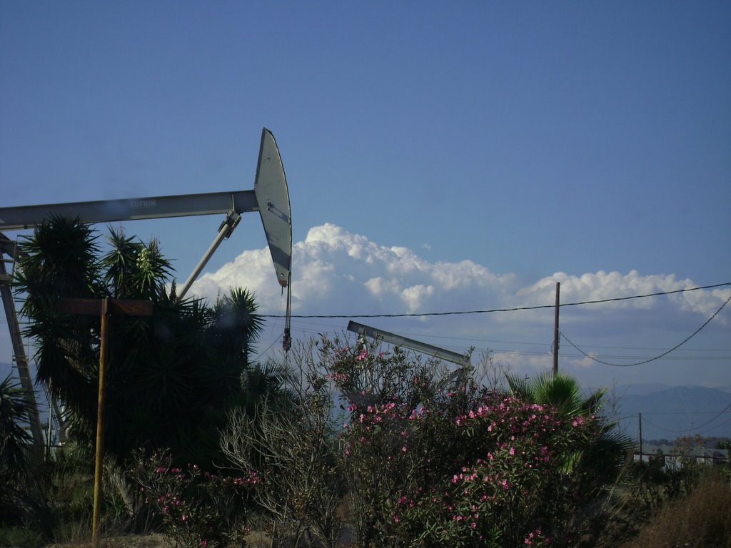 oil, Санта-Фе-Спрингс