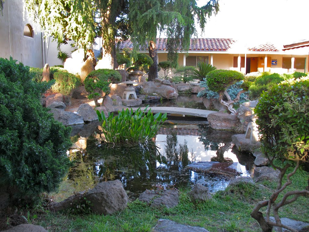 Koi pond at the Marysville Buddhist Church. 125 B St., Marysville, California, Саут-Юба
