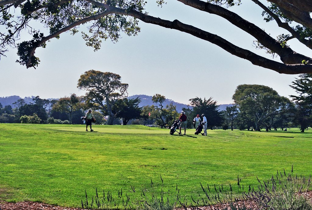 Golf field and cypress trees, Сисайд