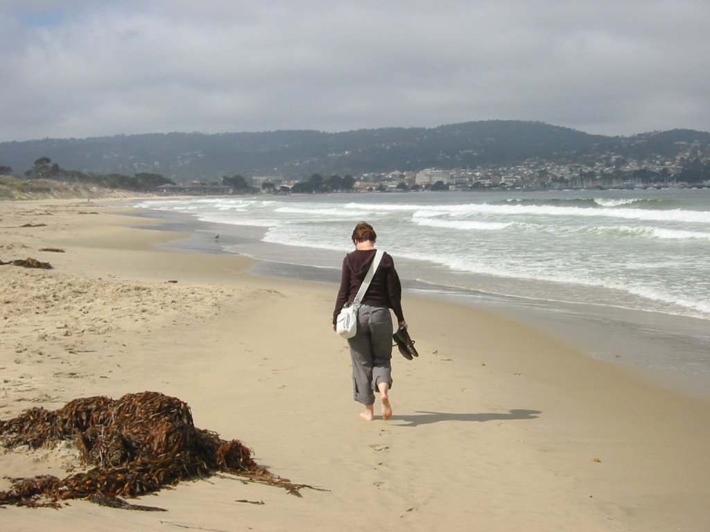Monterey Beach 06, Сисайд