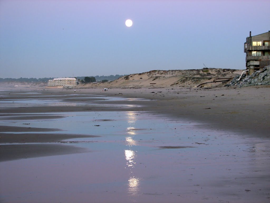 Montery Beach Moon, Сисайд