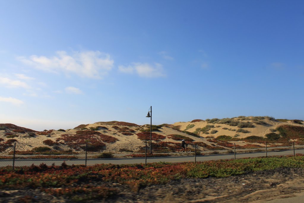 Sand Dunes Monterey, Сисайд
