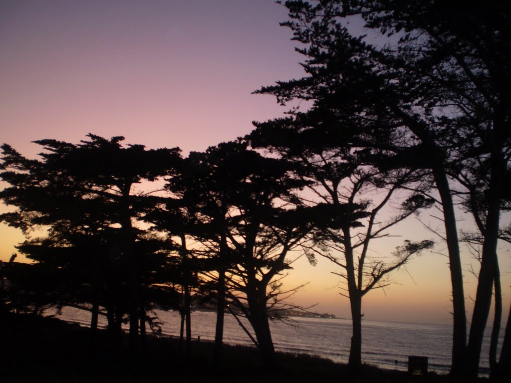 Playa de Monterey, Сисайд