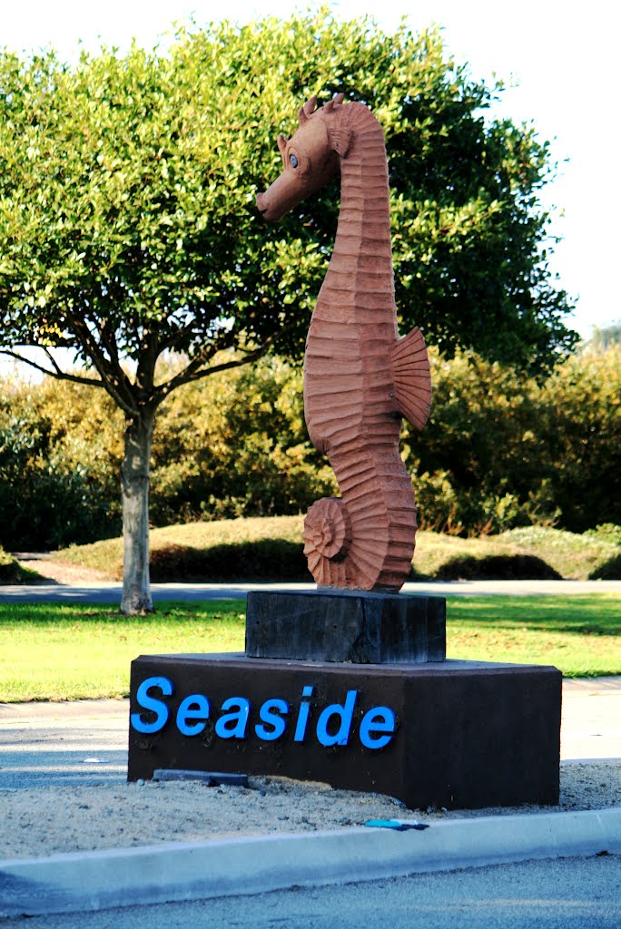 Seaside, Ca., Сисайд