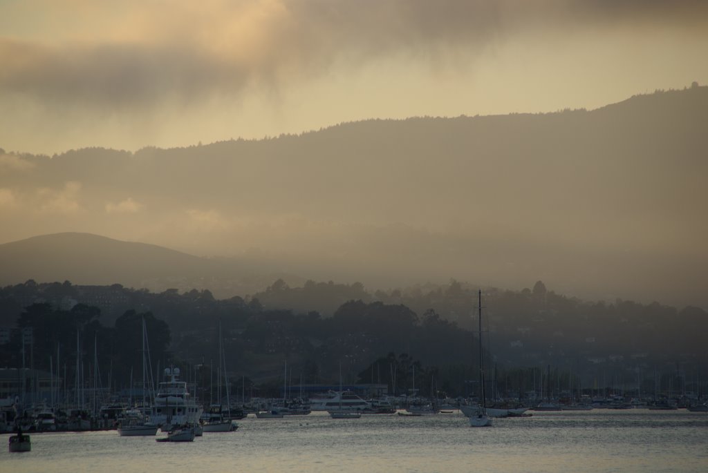 View of Sausalito Bay, Сусалито