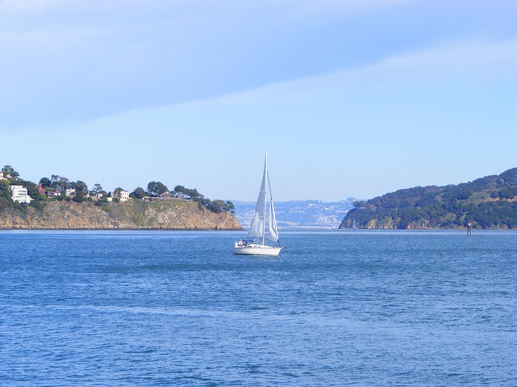 San Francisco Bay, Сусалито