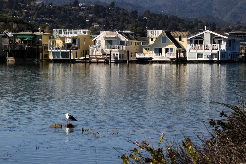 Sausalitos Famous Floating Community, Marin County, California, Сусалито