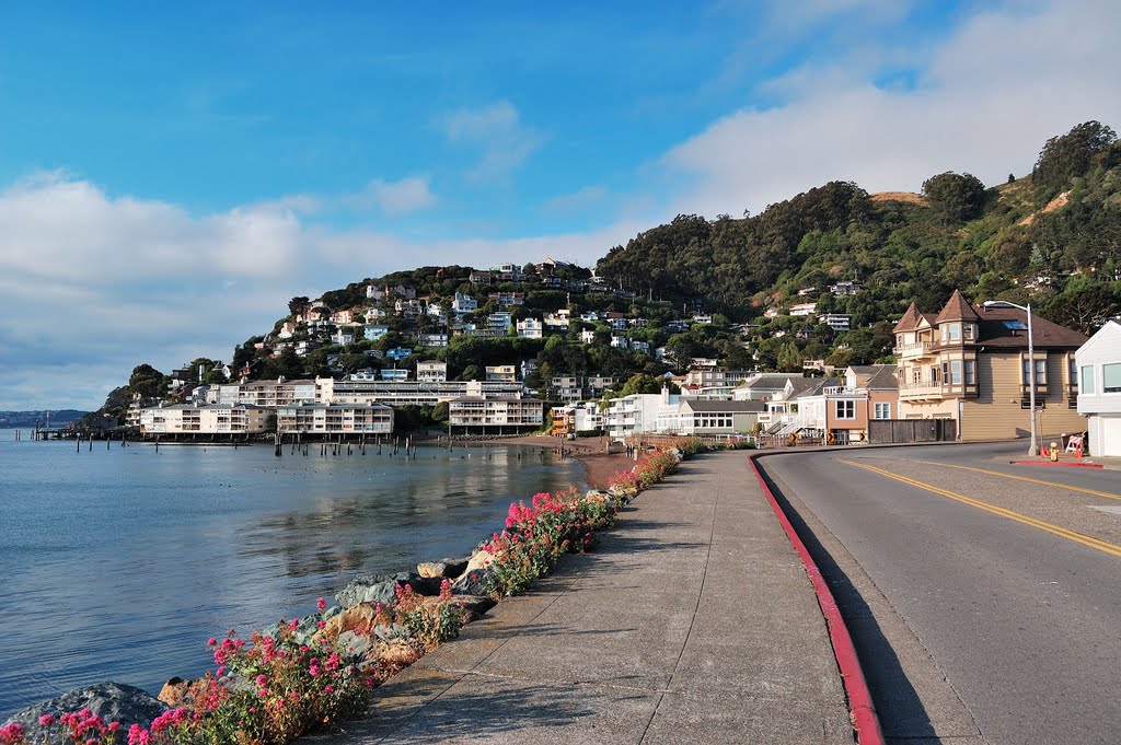 Houses nestled on the hill and the waterfront Sausalito, Marin, California, Сусалито