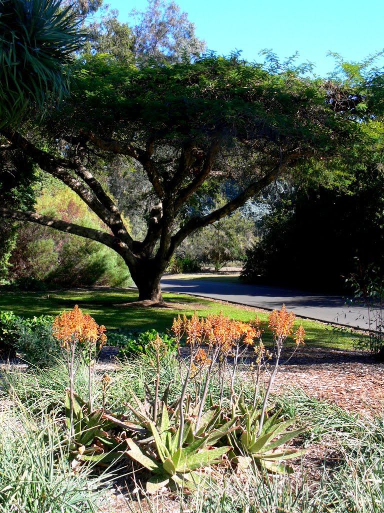 The Arboretum of Los Angeles County, CaliforniaThe Arboretum of Los Angeles County, California, Сьерра-Мадре