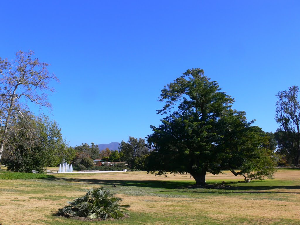 The Arboretum of Los Angeles County, California, Сьерра-Мадре