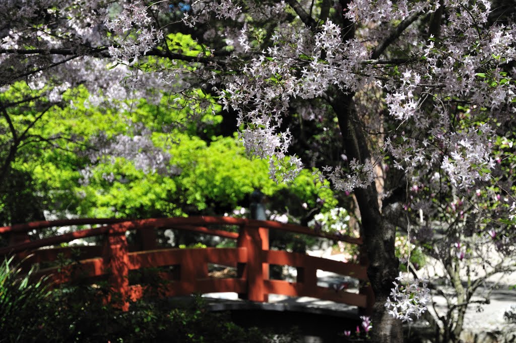 Japanese Garden, Флинтридж