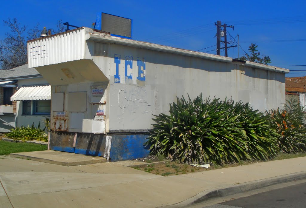 Chino Ice House, Чино