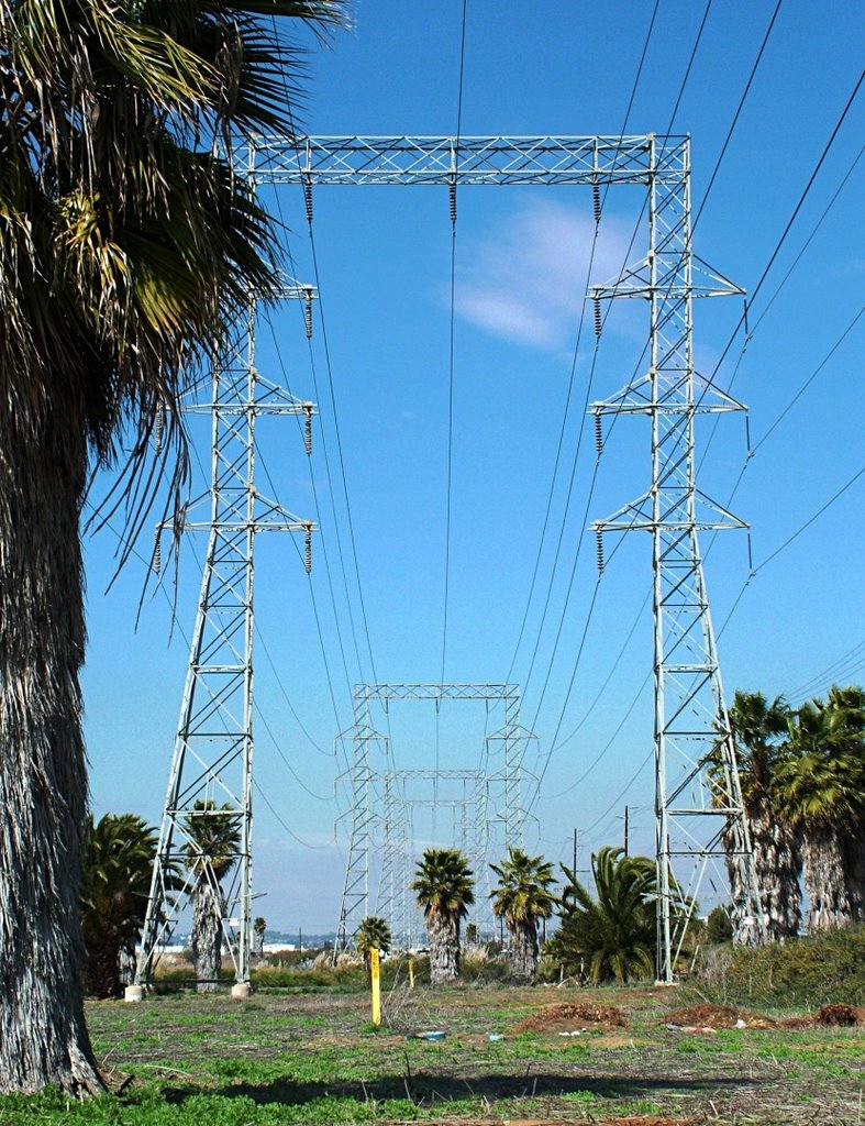 Power Lines, Pylons, & Palm Trees, Chula Vista, California, Чула-Виста
