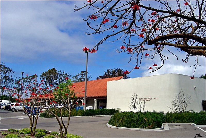 Chula Vista Library. 2006, Чула-Виста