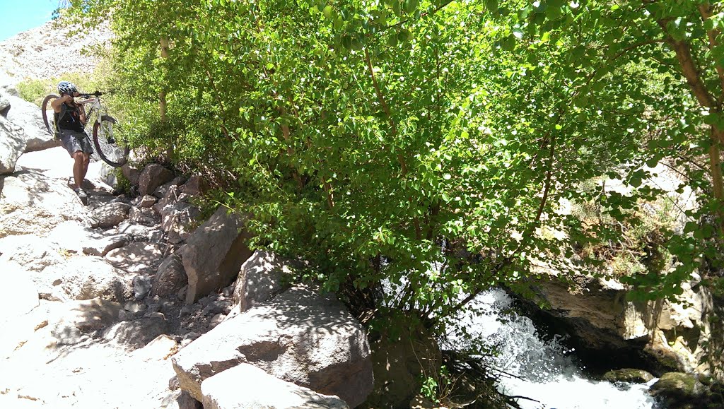Rock Creek, Эль-Сегундо