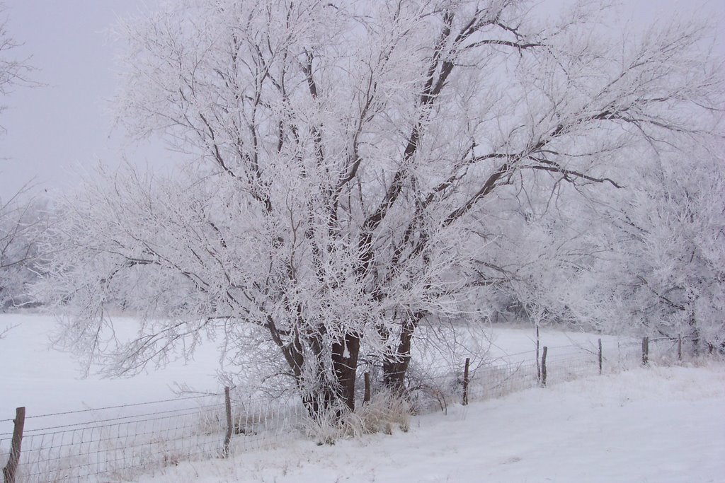 12-2003 ice storm, Кечи
