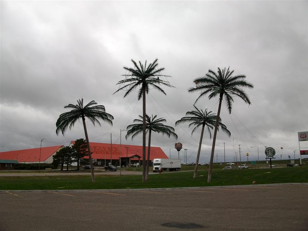 palm trees near I-70, promoting Colby as Oasis of the Plains, Colby, KS, Колби