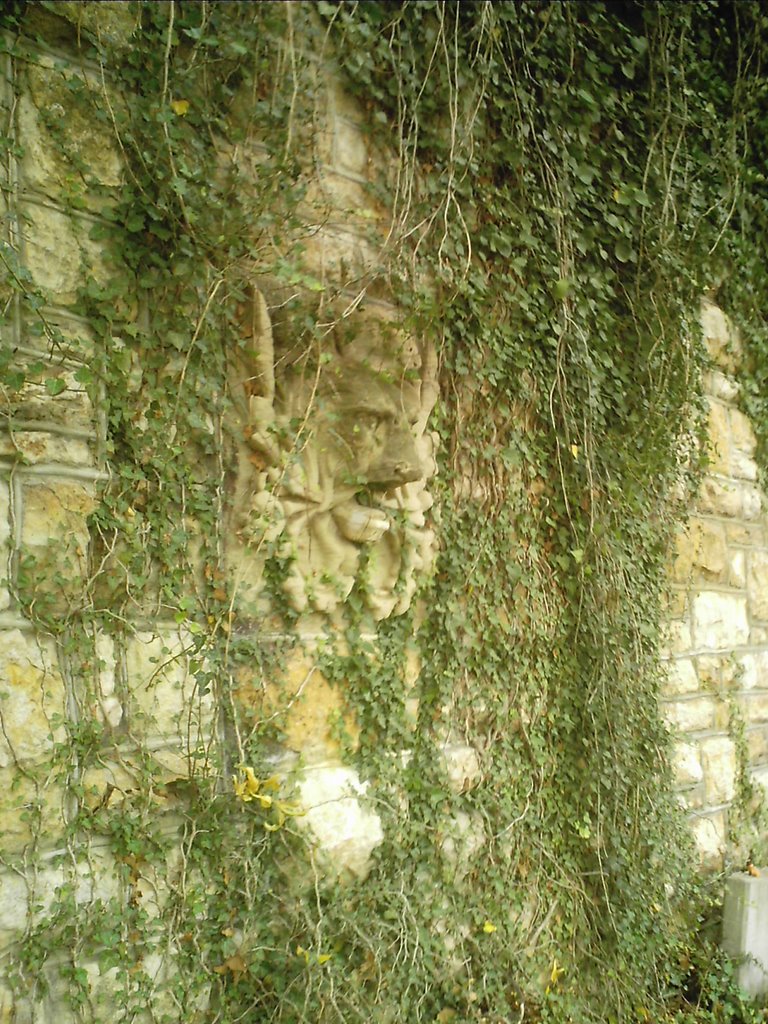 Anthropology garden wall, Лоуренс