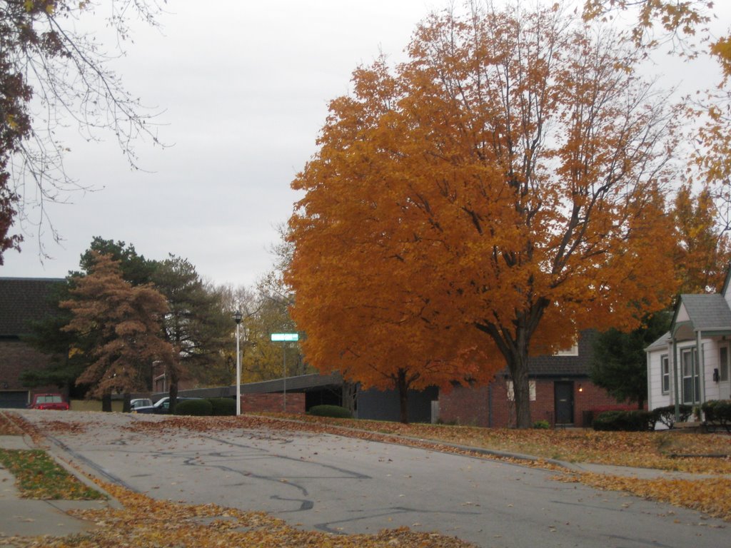 The Best Fall Color (11/2007), Мерриам